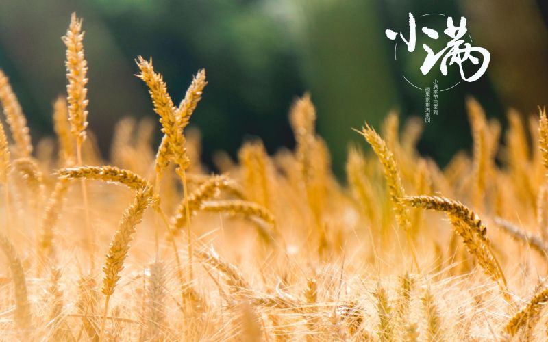 人生小滿勝萬全！